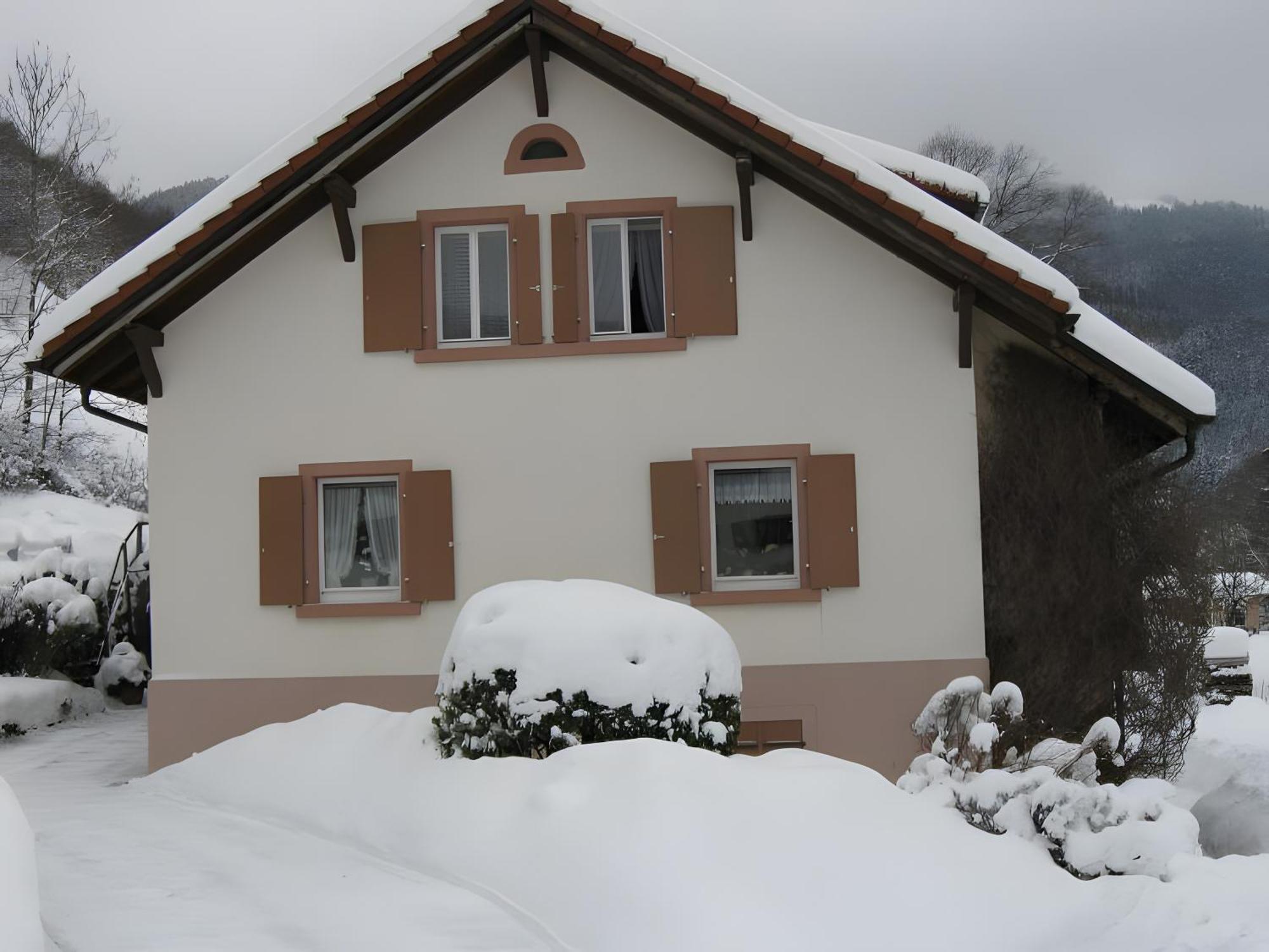 Wohnung Irene Todtnau Exterior photo