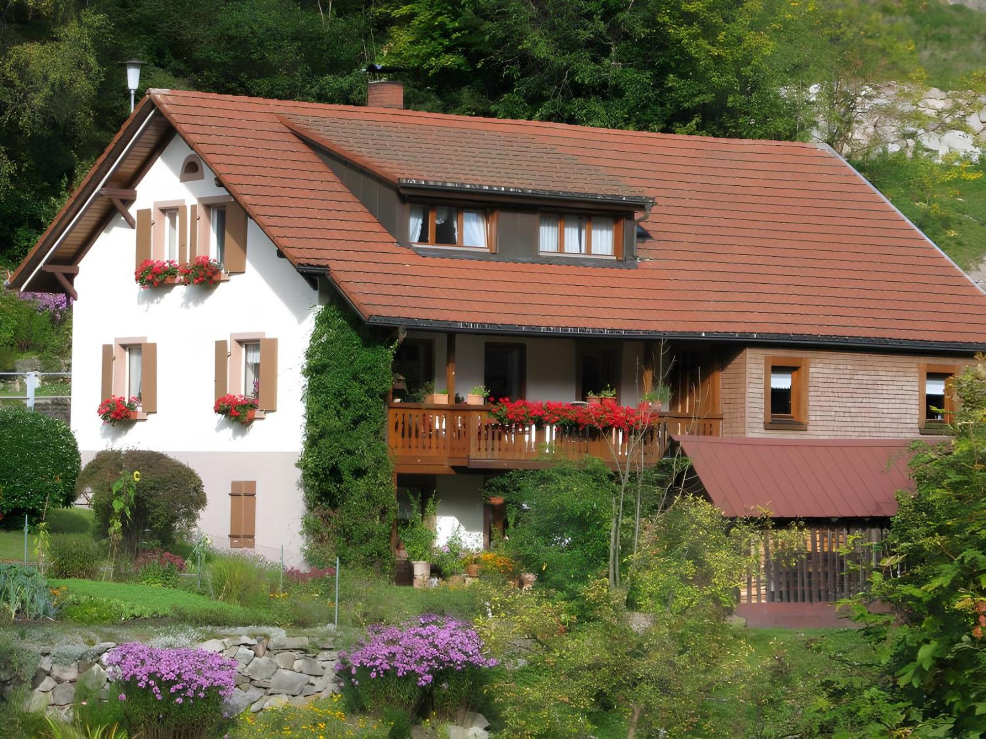 Wohnung Irene Todtnau Exterior photo